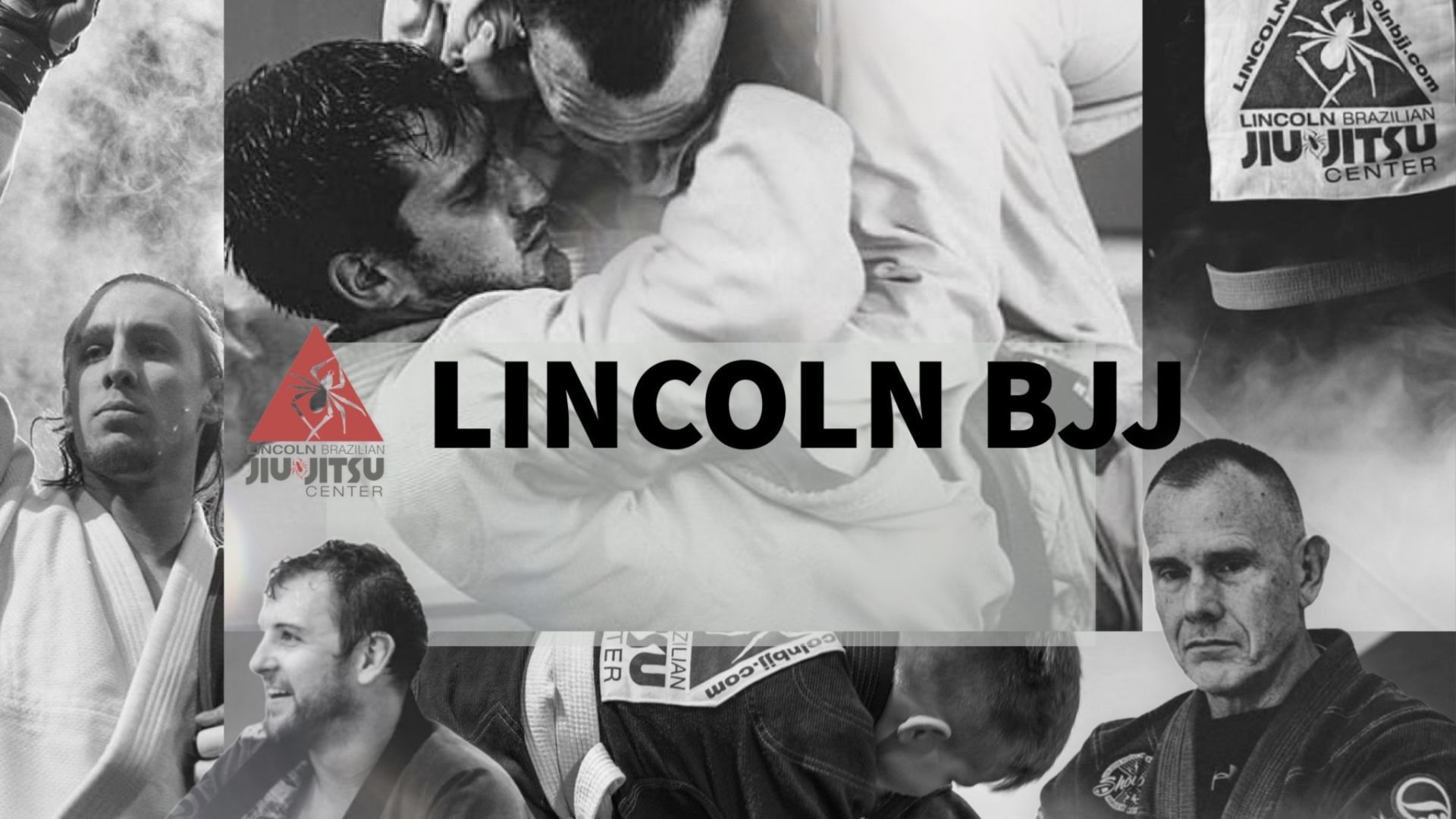 Lincoln Brazilian Jiu-Jitsu Center - Havelock photo